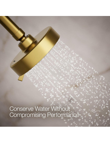 Cabezal de Ducha Multifuncional Kohler Awaken G110 9.5 lpm