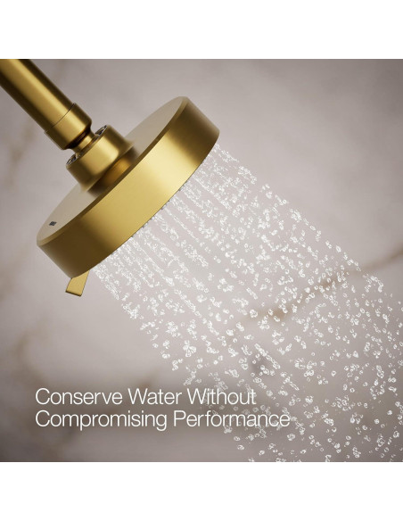 Cabezal de Ducha Multifuncional Kohler Awaken G110 9.5 lpm