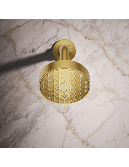 Cabezal de Ducha Multifuncional Kohler Awaken G110 9.5 lpm