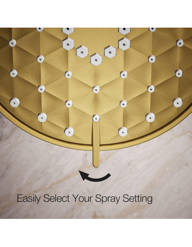 Cabezal de Ducha Multifuncional Kohler Awaken G110 9.5 lpm