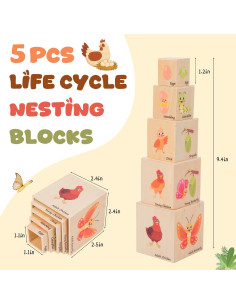 Bloques de Anidación de Ciclo de Vida de Madera Montessori 5 Pcs 2
