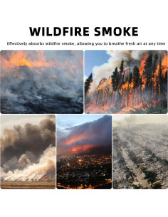 Filtro de Reemplazo 3-en-1 Levoit Core 300 - Carbón Activado 2