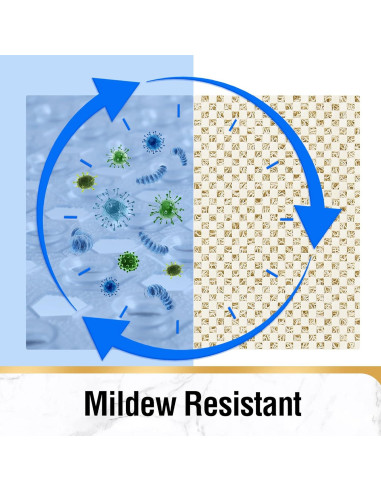 HITSLAM Alfombrilla de Baño Antideslizante Beige 101.6x40.6cm