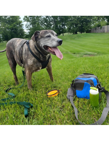 Bolsa de golosinas para perros Idealgrove - Azul, 27.7x26.8x8.8 cm