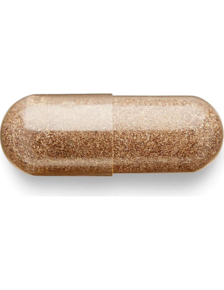 Suplemento de Canela y Cromo GNC Herbal Plus 30 Porciones Suplemento de Canela y Cromo GNC Herbal Plus 30 Porciones