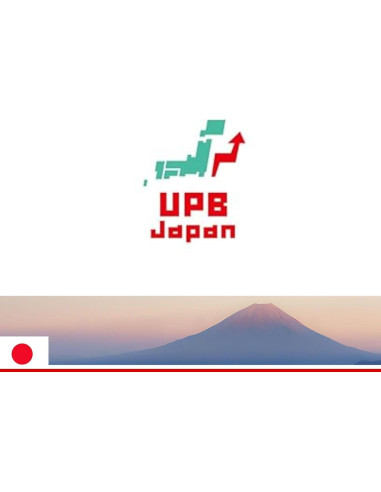 Wok UPB Japón 39 cm - Hierro Ligero para Saltear y Freír