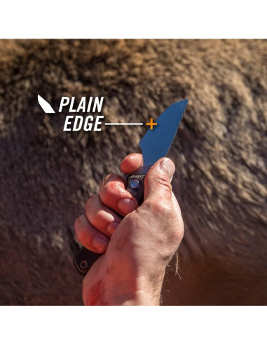 Cuchillo de Caza Gerber Downwind Caper con Funda Negra