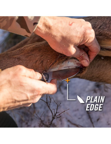 Cuchillo de Caza Gerber Downwind Caper con Funda Negra