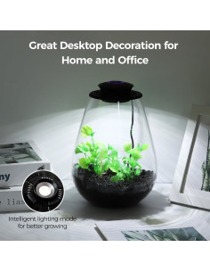 Terrario de Vidrio Tideme con Luz de Crecimiento 17.5x9.3x22cm 2