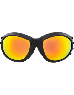 Gafas de sol Birdz Eyewear Eagle con acolchado para motociclismo 2