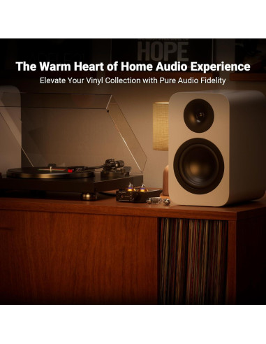 Fosi Audio Preamplificador Phono BOX X2 12V 0.31kg