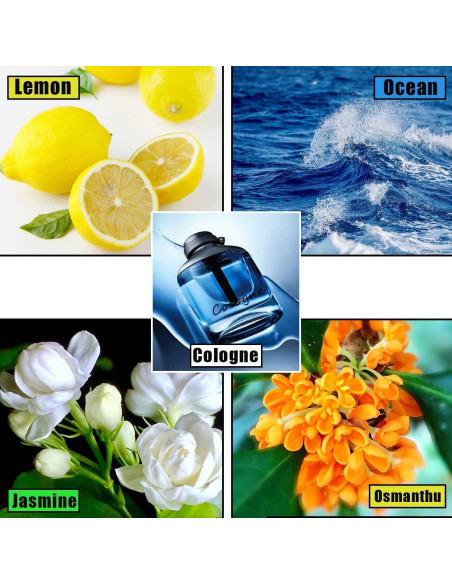 15 Almohadillas de Fragancia Xinjincang para Automóvil Océanos