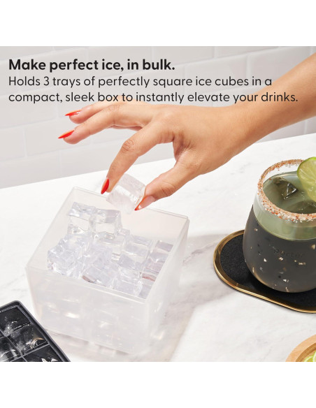 Bandeja de Hielo W&P Mini Ice Box con Tapa - 48 Cubos - Silicona