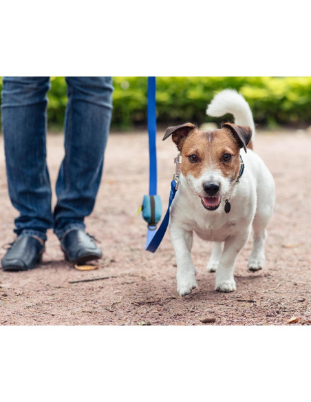 Bolsa de Suministro de Desechos Cutie's PetBox Nylon Azul