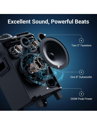 Máquina de Karaoke Portátil TONOR K20 con 2 Micrófonos