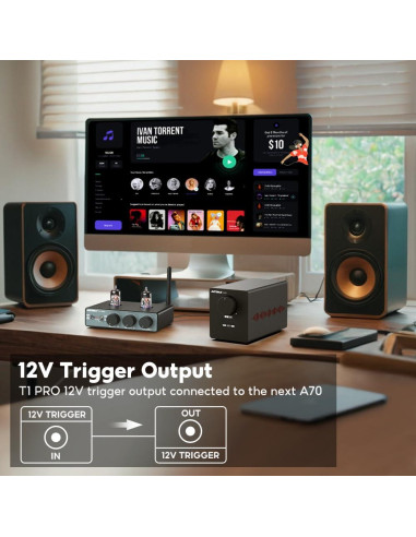 Preamplificador AIYIMA T1 PRO Válvula Bluetooth RCA 12V