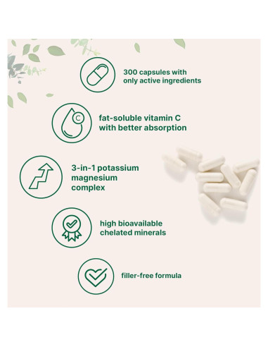 Suplemento de Potasio y Magnesio Micro Ingredients 300 Cápsulas