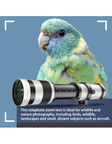 Lente Telefoto Zoom Lightdow 420-800mm F8.3 para Canon