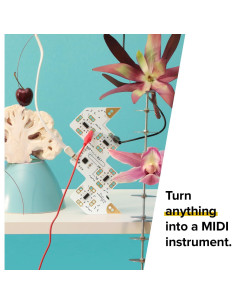 Controlador MIDI Playtron - Convierte Objetos en Música 2