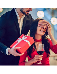 Enfriador de Vino Eléctrico Cobalance 750ml Acero Inoxidable 2