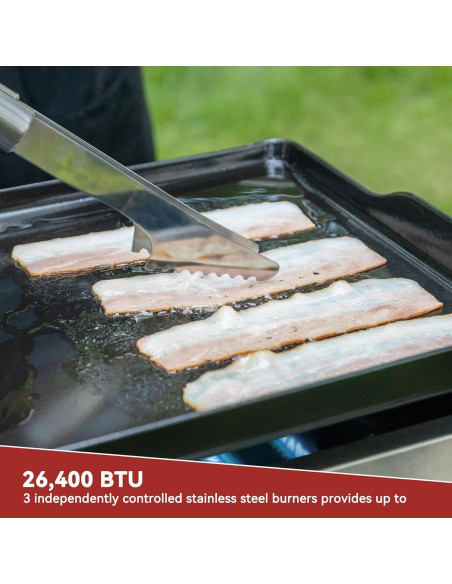 Parrilla de Gas Portátil Royal Gourmet PD1300 3 Quemadores