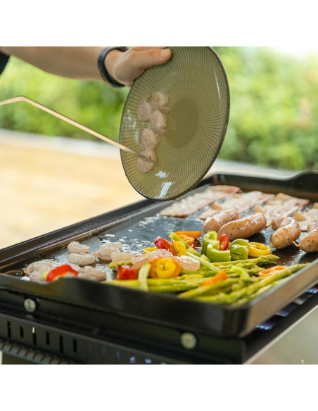 Parrilla de Gas Portátil Royal Gourmet PD1300 3 Quemadores