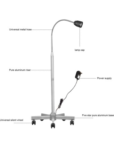 Lámpara de examen médico Global-Dental 35W luz halógena