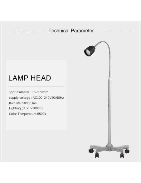 Lámpara de examen médico Global-Dental 35W luz halógena