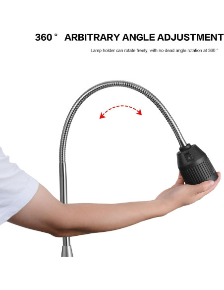 Lámpara de examen médico Global-Dental 35W luz halógena