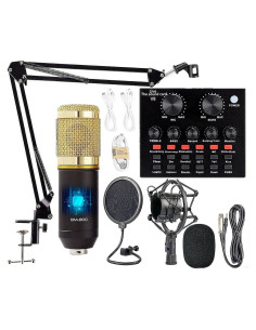 Kit de Podcast CofeLife BM-800 con Brazo y Filtro Antipop