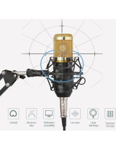 Kit de Podcast CofeLife BM-800 con Brazo y Filtro Antipop 2
