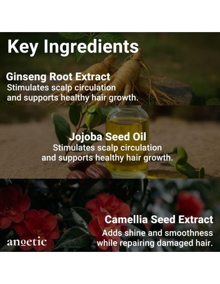 Suero de Aceite de Seda ANOETIC para Cabello Frizz 108g