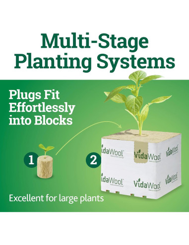 Tapones de Inicio de Semillas VidaWool - 50 Unidades Hidropónicos