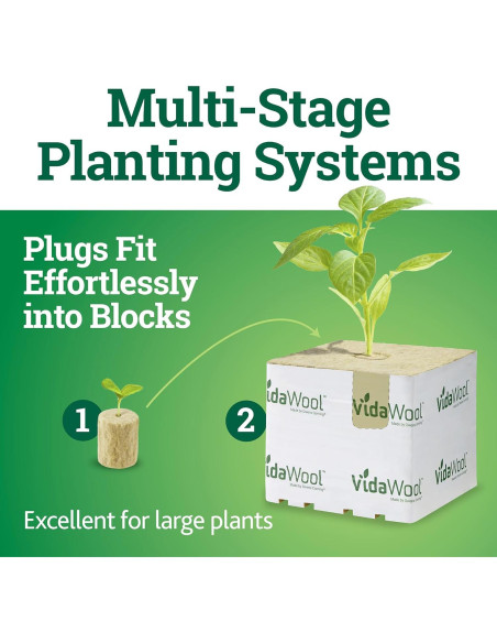 Tapones de Inicio de Semillas VidaWool - 50 Unidades Hidropónicos