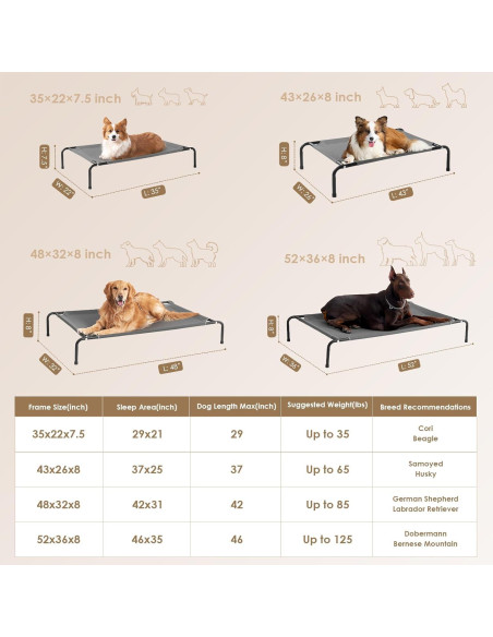 Cama Elevada para Perros Grandes EHEYCIGA 109x66 cm Impermeable