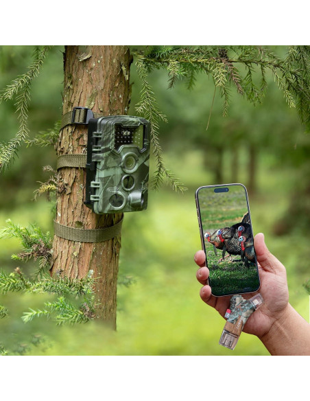 Lector de Tarjeta SD TF GearOZ GZ0016AA Inalámbrico 4 en 1