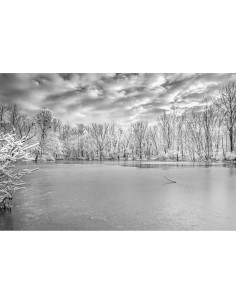 Rompecabezas 2000 Piezas Noah Caperton Swamp Blanco y Negro 2