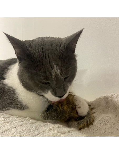 Ratón Gigante de Peluche SPOT Shaggy para Gatos - 21.6 cm