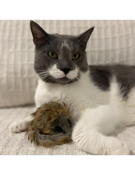 Ratón Gigante de Peluche SPOT Shaggy para Gatos - 21.6 cm