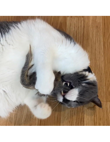 Ratón Gigante de Peluche SPOT Shaggy para Gatos - 21.6 cm