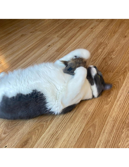 Ratón Gigante de Peluche SPOT Shaggy para Gatos - 21.6 cm