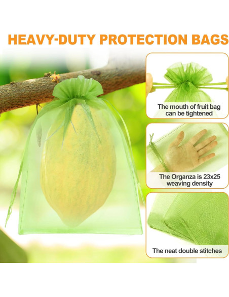 Bolsas de Protección de Frutas DQS - 100pcs, 3 Tamaños, Verde