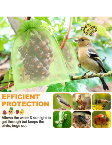 Bolsas de Protección de Frutas DQS - 100pcs, 3 Tamaños, Verde