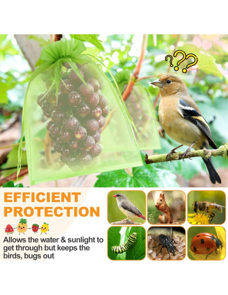 Bolsas de Protección de Frutas DQS - 100pcs, 3 Tamaños, Verde