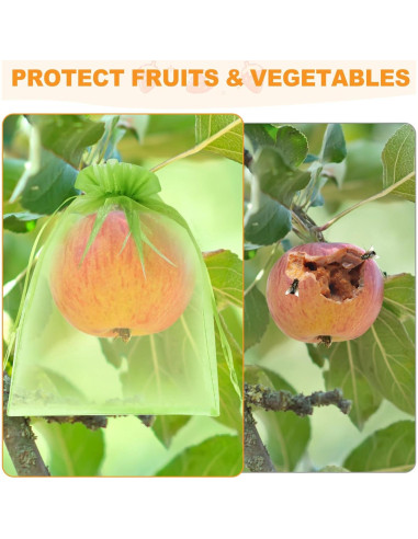 Bolsas de Protección de Frutas DQS - 100pcs, 3 Tamaños, Verde