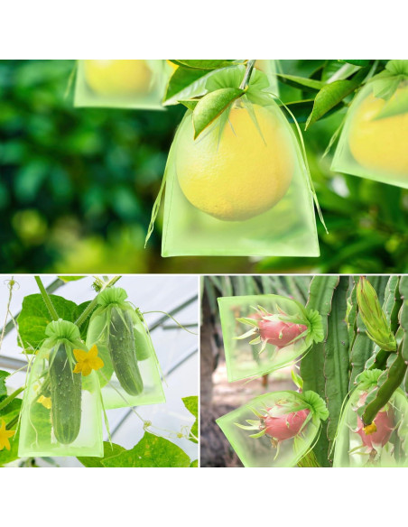 Bolsas de Protección de Frutas DQS - 100pcs, 3 Tamaños, Verde