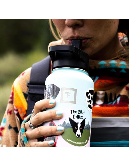 Botella de Agua Deportiva Iron Flask 622g Acero Inoxidable Aislada