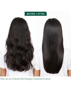 Acondicionador Biolage Smooth Proof 1000 ml - Controla Frizz 2