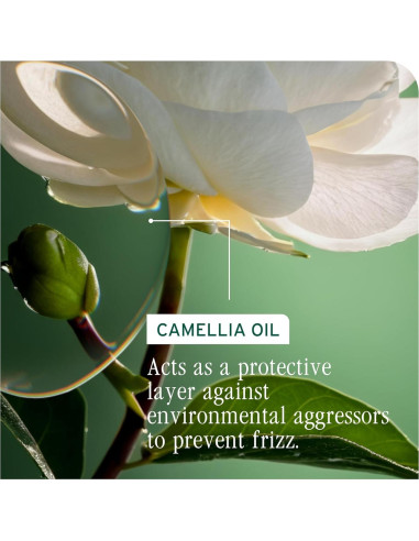 Acondicionador Biolage Smooth Proof 1000 ml - Controla Frizz