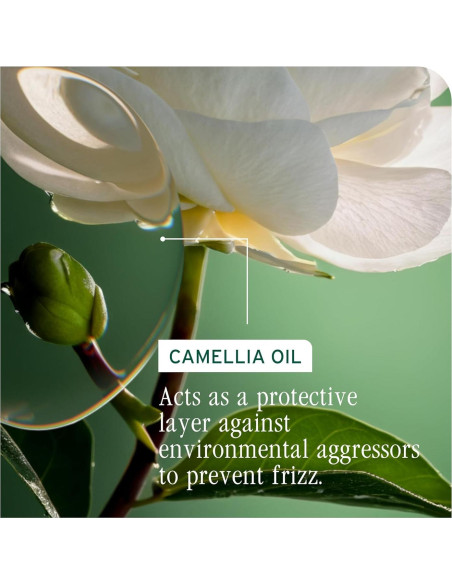 Acondicionador Biolage Smooth Proof 1000 ml - Controla Frizz Acondicionador Biolage Smooth Proof 1000 ml - Controla Frizz